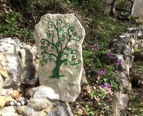 L'albero della Vita